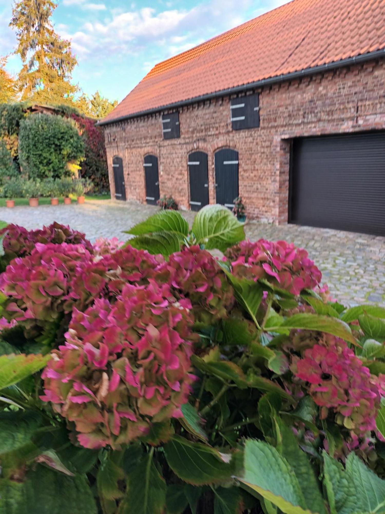 Ferienwohnung Perlitz Petersdorf  Exteriör bild