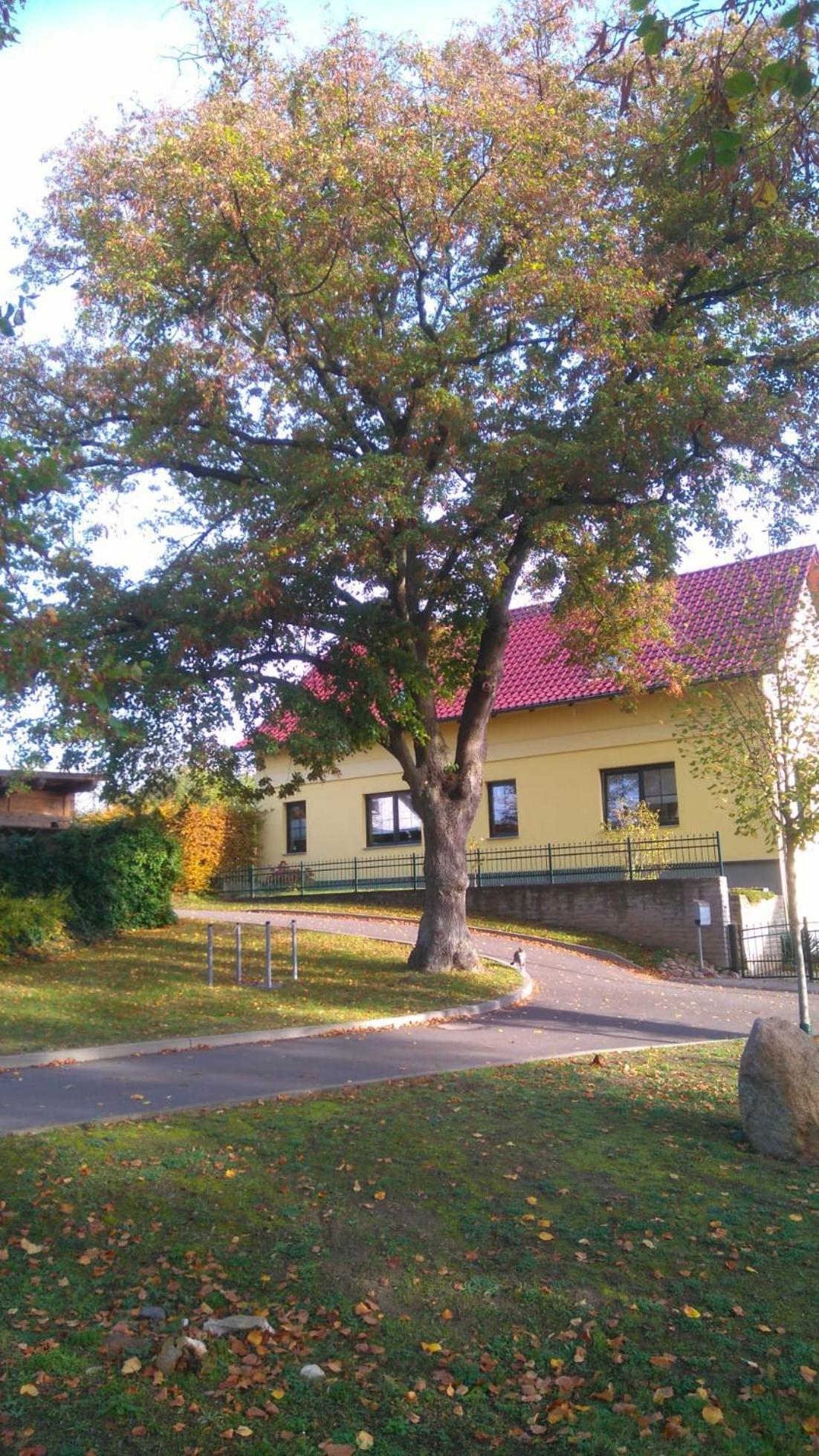 Ferienwohnung Perlitz Petersdorf  Exteriör bild